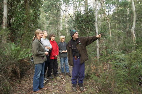 Great Western Tiers Forest Walks Tasmania - Accommodation Brunswick Heads 3