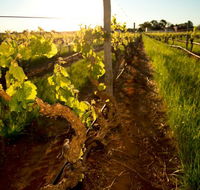 Kaesler Old Vine Vineyard Tour - Accommodation Brunswick Heads