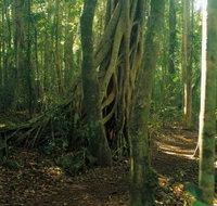 Tullawallal circuit - Accommodation Brunswick Heads