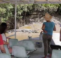 Whitsunday Crocodile Safari - Accommodation Brunswick Heads