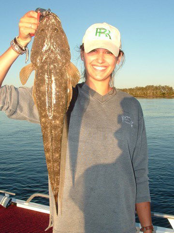Reel Time Charters Yamba - Accommodation Brunswick Heads 1