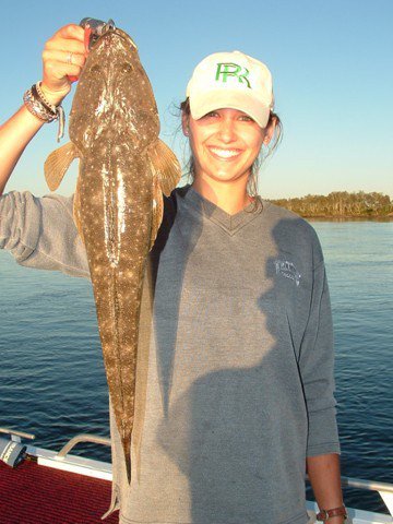 Reel Time Charters Yamba - Accommodation Brunswick Heads 2