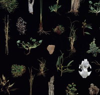 Weswal Gallery - Accommodation Brunswick Heads