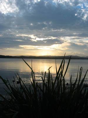 The Next Grind - Accommodation Brunswick Heads 1