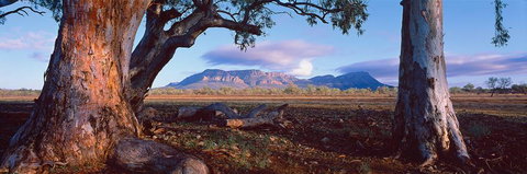 Nissarana Galleries Noosa - Accommodation Brunswick Heads 1