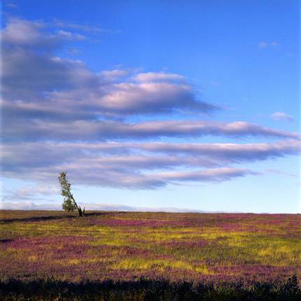 Nissarana Galleries Noosa - Accommodation Brunswick Heads 2