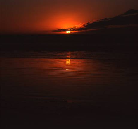 Nissarana Galleries Noosa - Accommodation Brunswick Heads 3