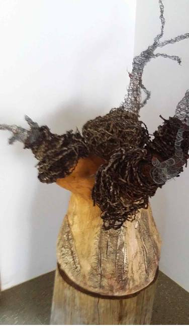 Caldera Wildscapes Gallery - Accommodation Brunswick Heads 0