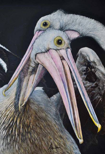 Caldera Wildscapes Gallery - Accommodation Brunswick Heads 1