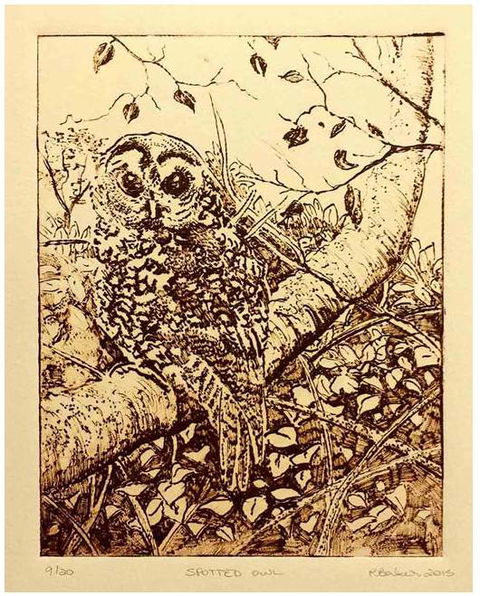 Caldera Wildscapes Gallery - Accommodation Brunswick Heads 3