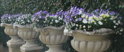 Gardenalia Open Garden And Rare Plant Nursery - Accommodation Brunswick Heads 0
