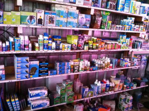 Hurley’s Aquariums - Accommodation Brunswick Heads 1