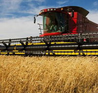 Quirindi Grain and produce - Accommodation Brunswick Heads