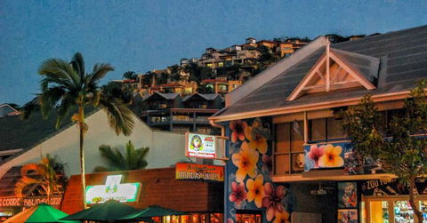 Airlie Beach Party Bus - Accommodation Brunswick Heads 3