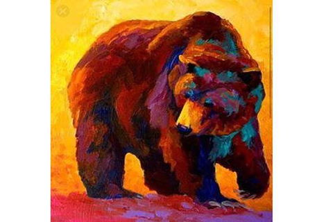 Grizzly Bear - Boardwalk Bar 3.00-5.00pm - Accommodation Brunswick Heads 0