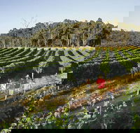 Margaret River Caves Wine and Cape Leeuwin Lighthouse Tour from Perth - Accommodation Brunswick Heads