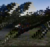 Stargazing Busselton with Mobile Observatory - Accommodation Brunswick Heads
