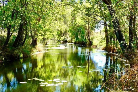 Gorgeous Gorges Tour - Windjana & Bell Gorge, Mt Hart, Cape Leveque - Accommodation Brunswick Heads 8