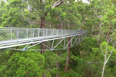 Albany Southwest Wilderness Day Tour - Fly From Perth - Accommodation Brunswick Heads 2