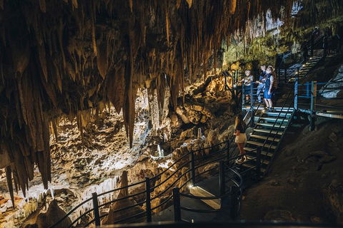 Ngilgi Cave Semi-guided Tour - Accommodation Brunswick Heads 0