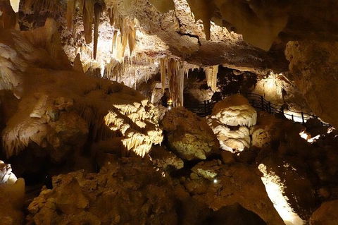 Ngilgi Cave Semi-guided Tour - Accommodation Brunswick Heads 3