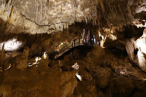 Ngilgi Cave Semi-guided Tour - Accommodation Brunswick Heads 5