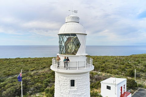 Cape Naturaliste Lighthouse Fully-guided Tour - Accommodation Brunswick Heads 5