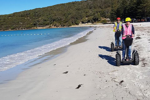 Albany Summit To Sea Adventure - Guided Segway Tour - Accommodation Brunswick Heads 1