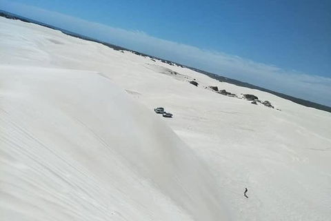 Yanchep & Lancelin - Wildlife, Cave And Sands - Accommodation Brunswick Heads 3