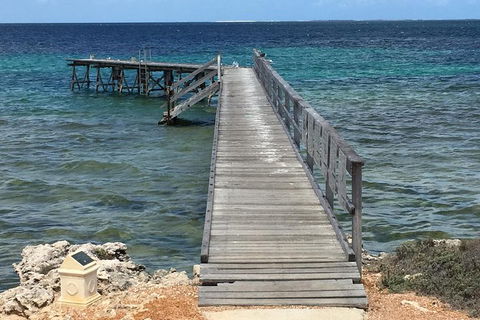 Abrolhos Flyover With Morning Tea On East Wallaby Island - Accommodation Brunswick Heads 1