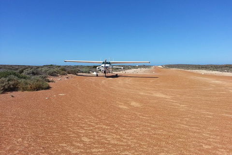 Abrolhos Islands Scenic Flight & Snorkel Adventure From Perth - Accommodation Brunswick Heads 1