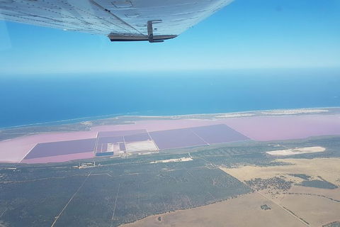 Abrolhos Islands Scenic Flight & Snorkel Adventure From Perth - Accommodation Brunswick Heads 7