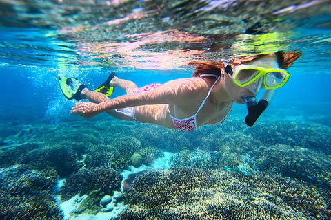 Abrolhos Islands Scenic Flight & Snorkel Adventure From Perth - Accommodation Brunswick Heads 2