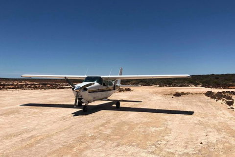 Kalbarri Gorges & West Coast - Ground & Air Tour - Accommodation Brunswick Heads 6
