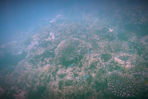 Guided Jet Ski And Snorkel Tour From Exmouth - Accommodation Brunswick Heads 1