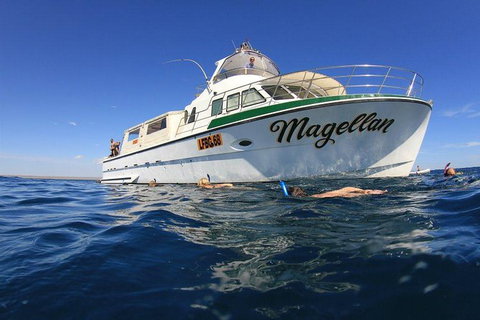 Ningaloo Reef Whale Shark Snorkeling Adventure Apr-July - Accommodation Brunswick Heads 13