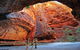 APT Kimberley Wilderness Adventures Purnululu (Bungle Bungle) 4WD Experience - thumb 1