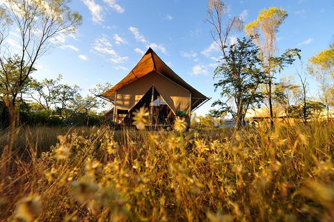 APT Kimberley Wilderness Adventures Purnululu (Bungle Bungle) 4WD Experience - Accommodation Brunswick Heads 10