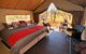 APT Kimberley Wilderness Adventures Purnululu (Bungle Bungle) 4WD Experience - thumb 4