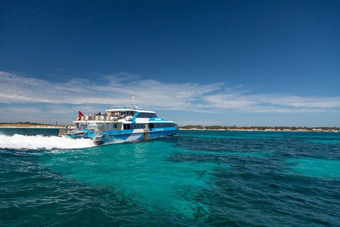 Rottnest Island Skydive Including Round Trip Ferry From Fremantle - Accommodation Brunswick Heads 7