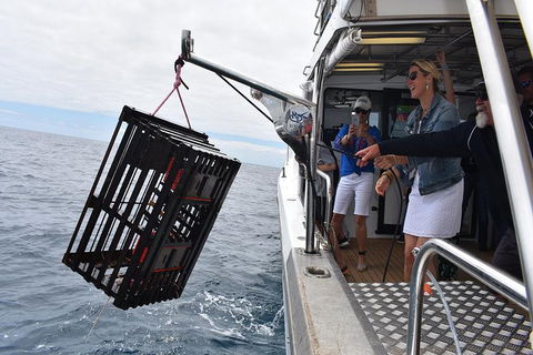 Rottnest Island Wild Seafood Package With Round Trip Ferry From Fremantle - Accommodation Brunswick Heads 1