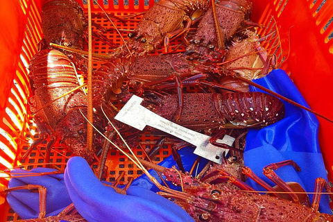 Rottnest Island Wild Seafood Package With Round Trip Ferry From Fremantle - Accommodation Brunswick Heads 6