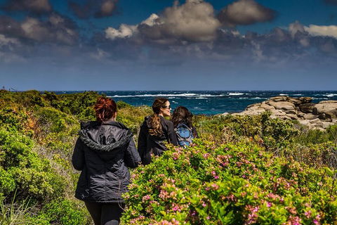 Guided Walks On The Cape To Cape - Wilyabrup Cliffs - Accommodation Brunswick Heads 0