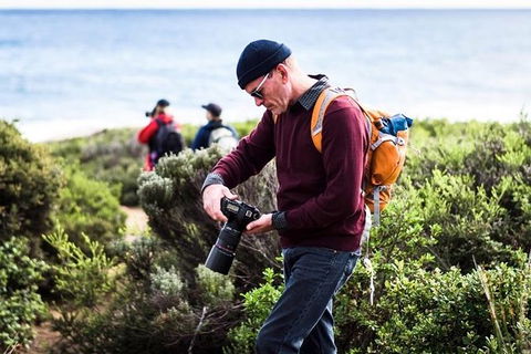 Guided Walks On The Cape To Cape - Wilyabrup Cliffs - Accommodation Brunswick Heads 4
