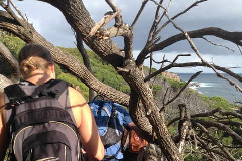 Guided Walks On The Cape To Cape - Wilyabrup Cliffs - Accommodation Brunswick Heads 6