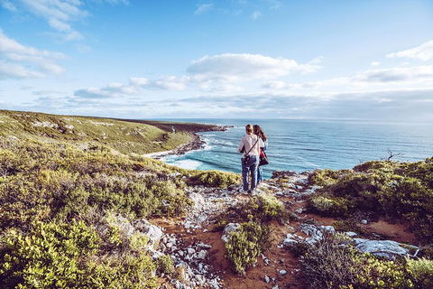 Guided Walks On The Cape To Cape - Wilyabrup Cliffs - Accommodation Brunswick Heads 7