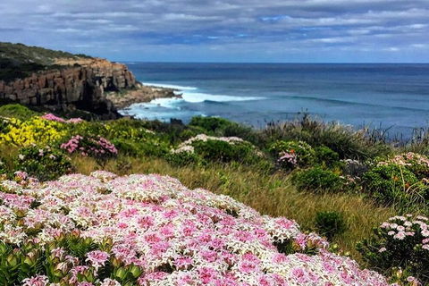 Guided Walks On The Cape To Cape - Wilyabrup Cliffs - Accommodation Brunswick Heads 3