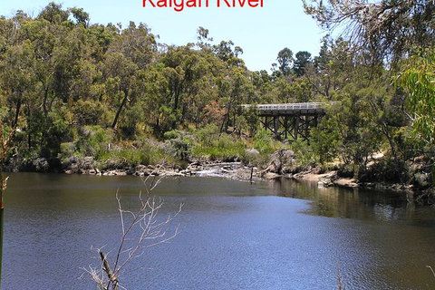 Kalgan Queen Scenic Cruises A Four Hour Sheltered Water Wildlife Tour Daily Fun. - Accommodation Brunswick Heads 3