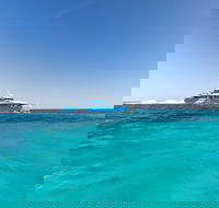 Rottnest Island Settlement Explorer Segway Package from Fremantle - Accommodation Brunswick Heads