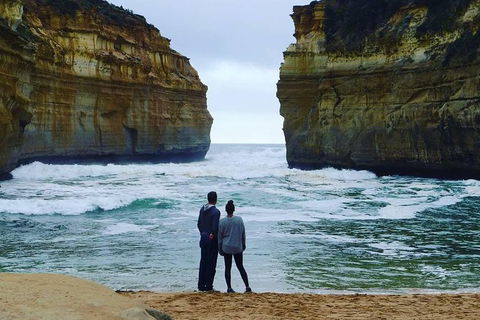 Great Ocean Road Small-Group Ecotour From Melbourne - Accommodation Brunswick Heads 1